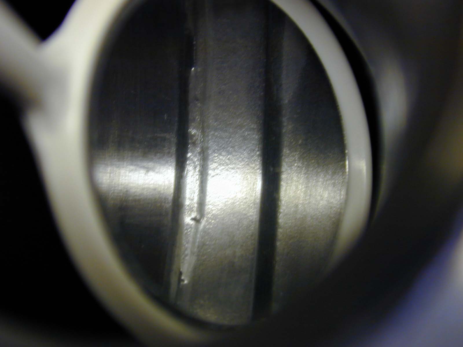 DSCN0546