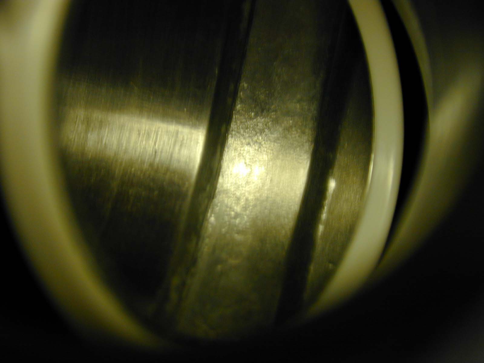DSCN0550